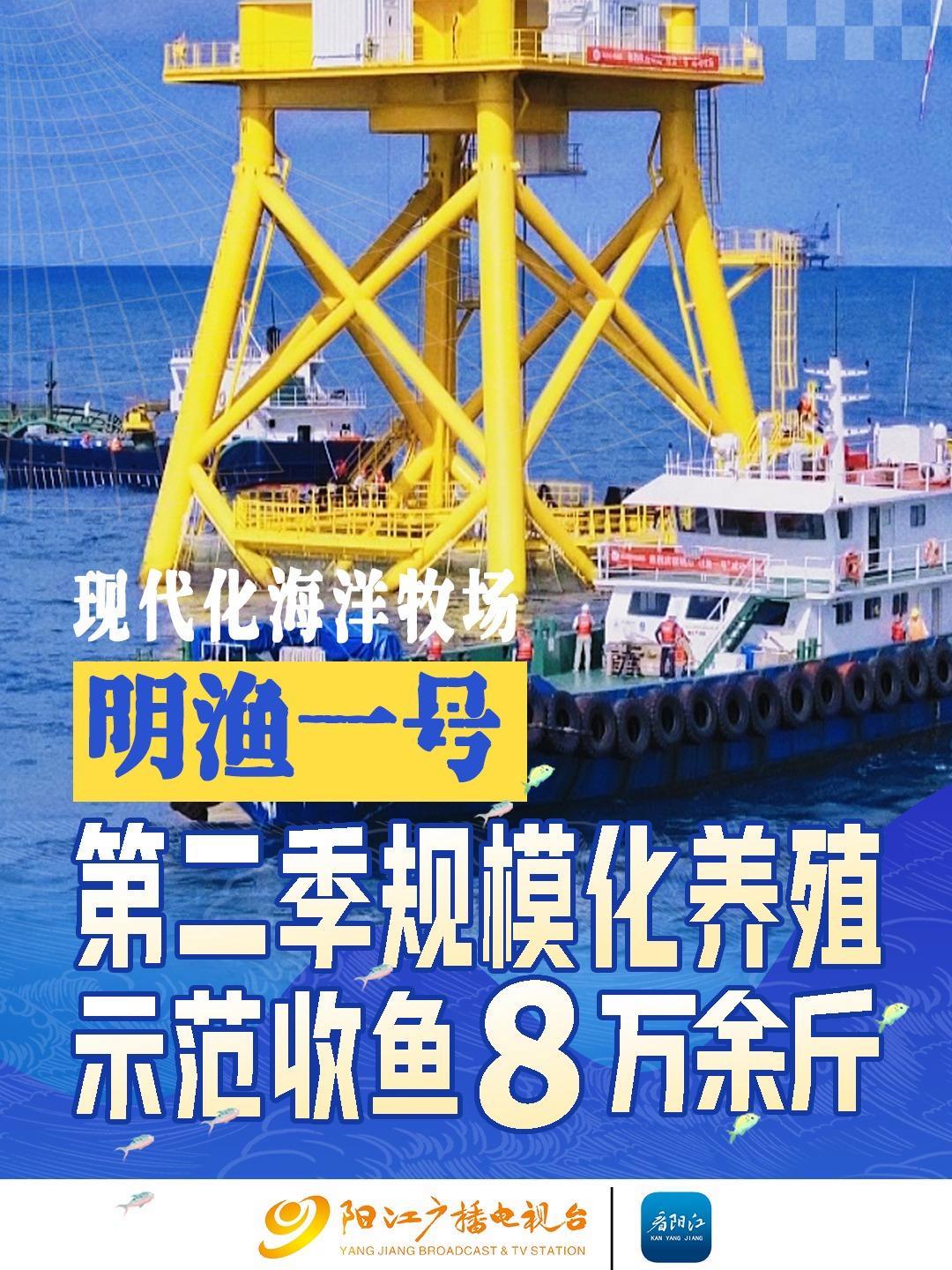 经受强台风考验,“明渔一号”第二季规模化养殖示范收鱼8万余斤