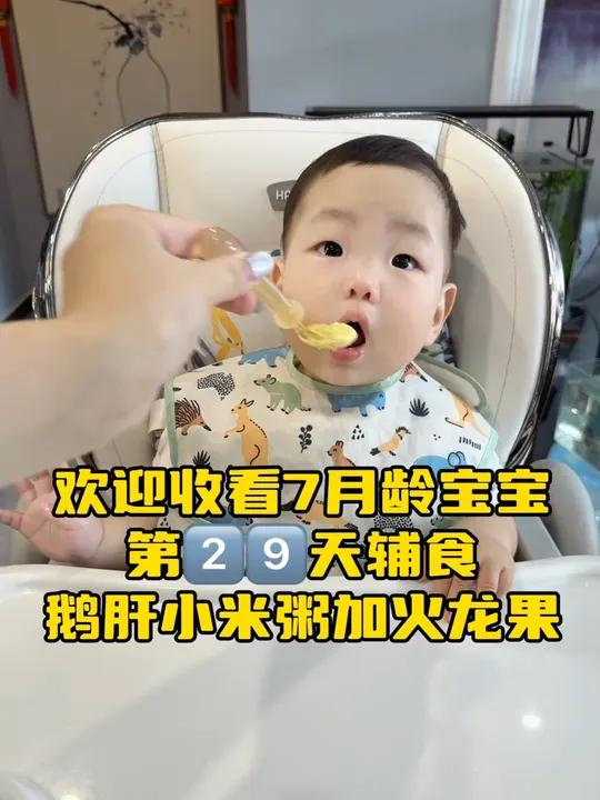 「辅食59天」充铁奶香鹅肝粥,7月龄要尽早安排肉类,营养满满细腻不柴,好消化好吸收的要给宝