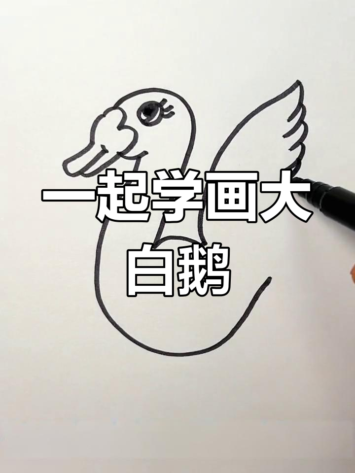 用数字画大白鹅，简单又可爱