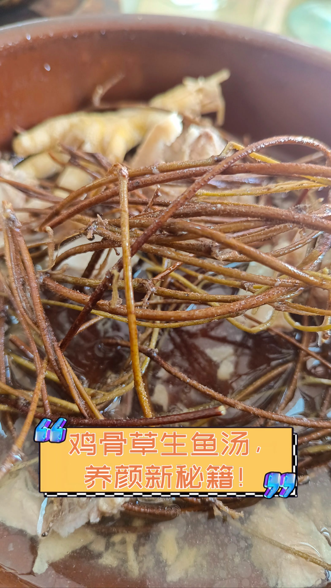 鸡骨草生鱼汤,养颜新秘籍!
