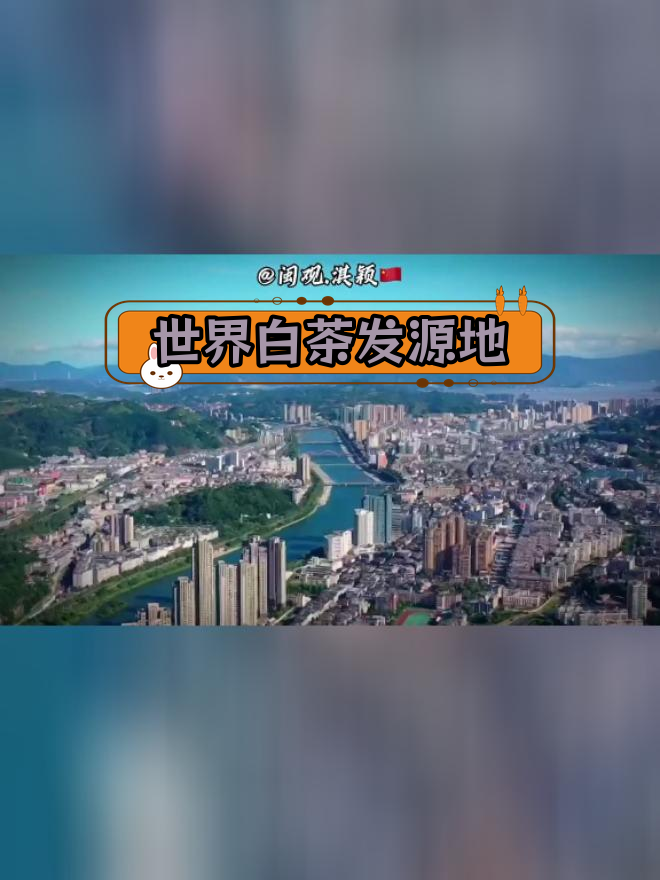 宁德福鼎:白茶之乡与文化发源地