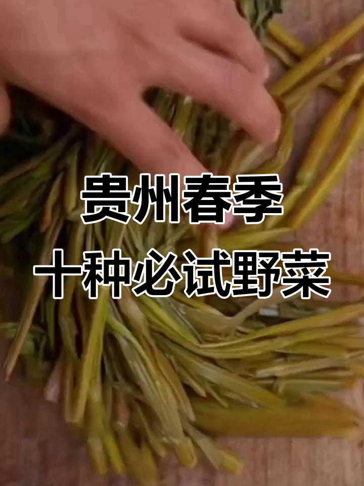 贵州春季必吃十大野菜,舌尖上的山珍美味