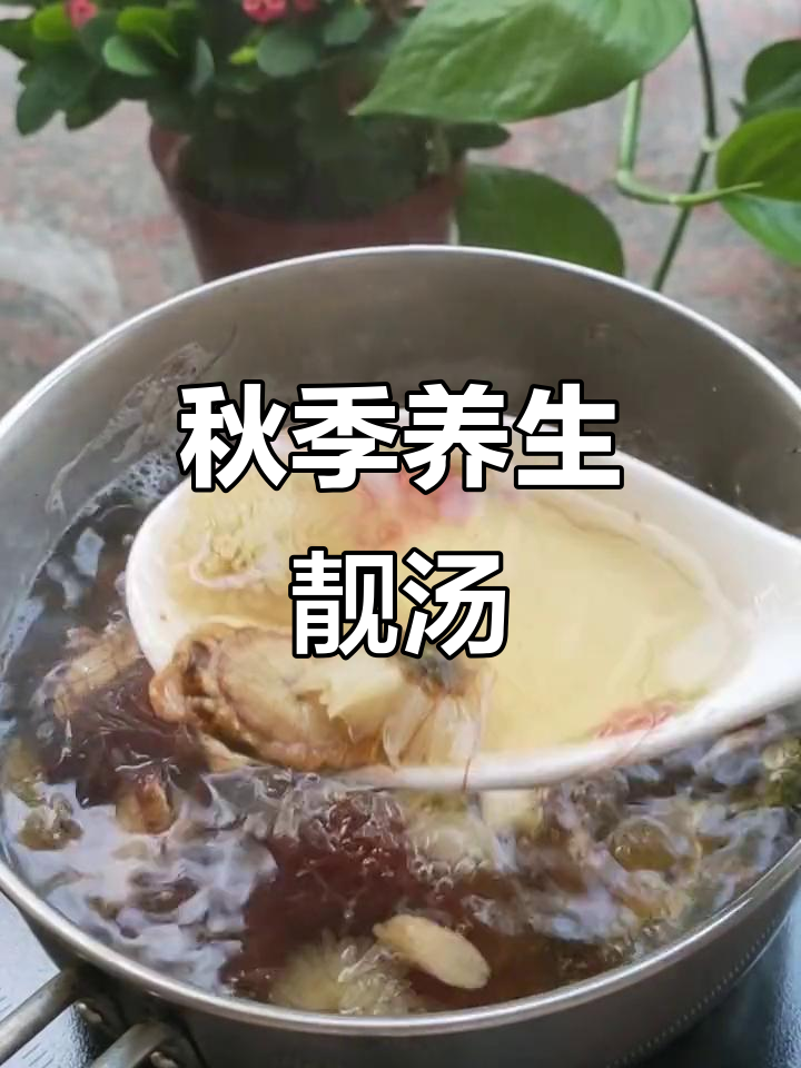 广东靓汤推荐,秋季必试这道茶