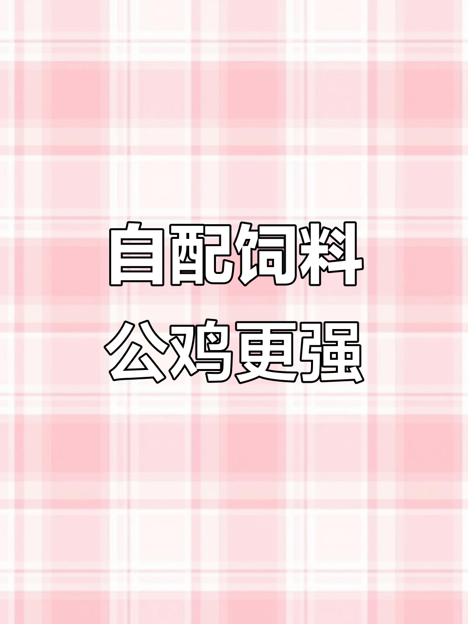 散养土鸡饲料配方大揭秘,营养更全面