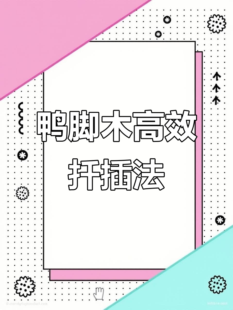 鸭脚木扦插技巧，快速生根成活率高