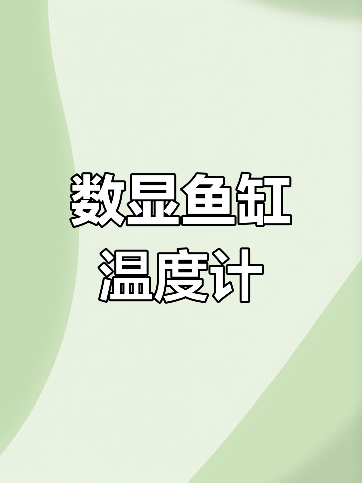 高精度鱼缸温度计 探头数显设计