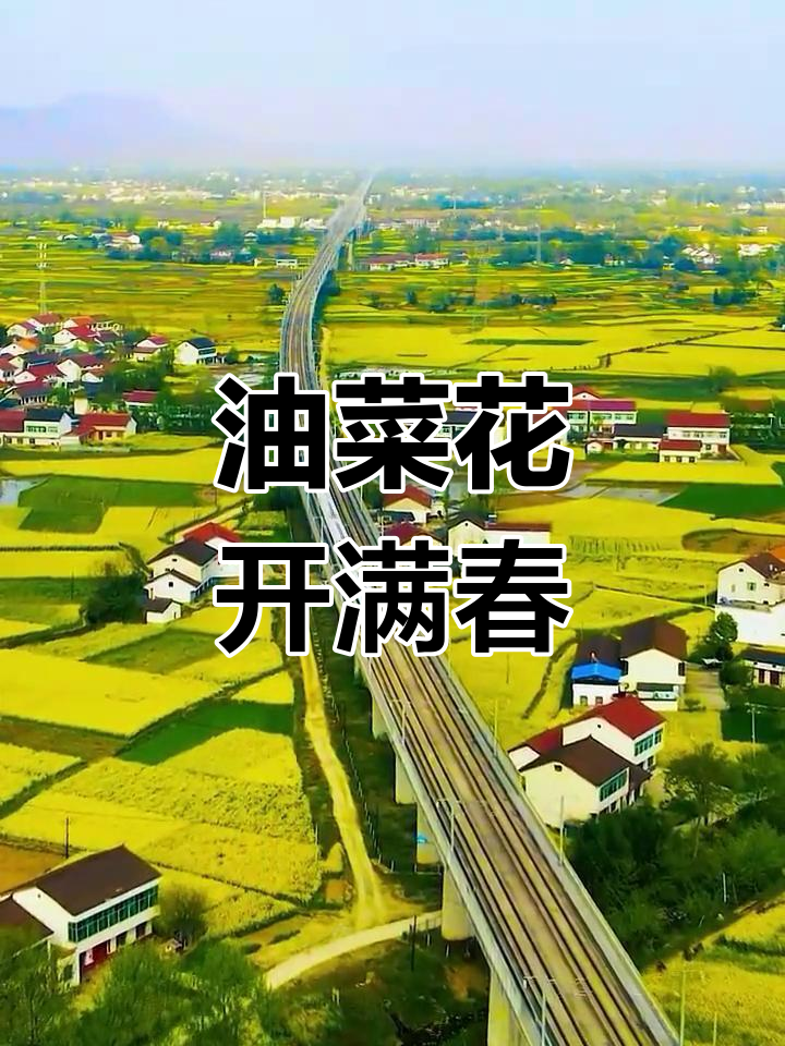 汉中油菜花海,春天的美丽乡村