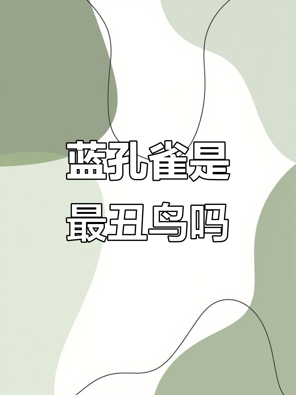 蓝孔雀真丑?看看它开屏后的惊艳表现