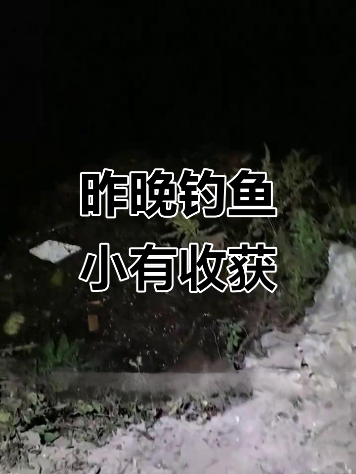 12月22日夜钓收获大揭秘,三条鱼跑掉心好累