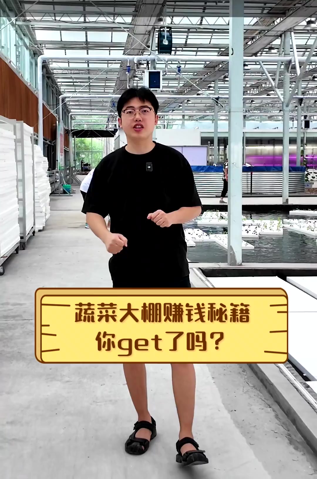 蔬菜大棚赚钱秘籍,你get了吗?