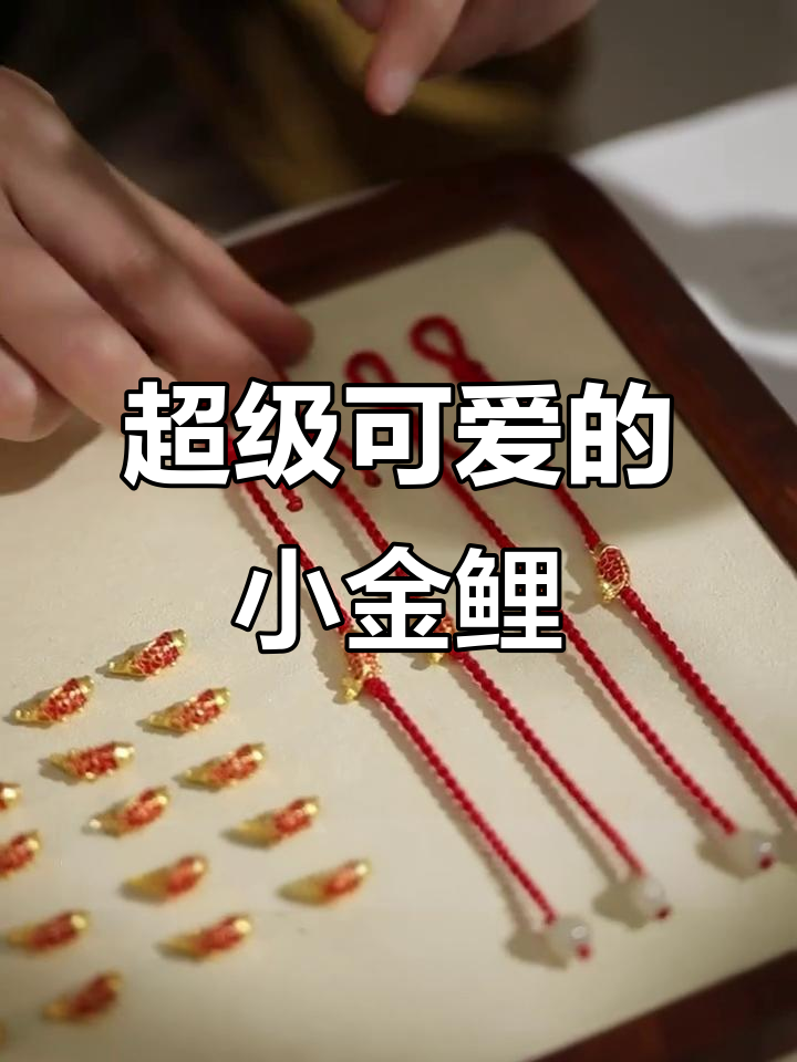 小鲤鱼太萌了,尾巴一摆超可爱!