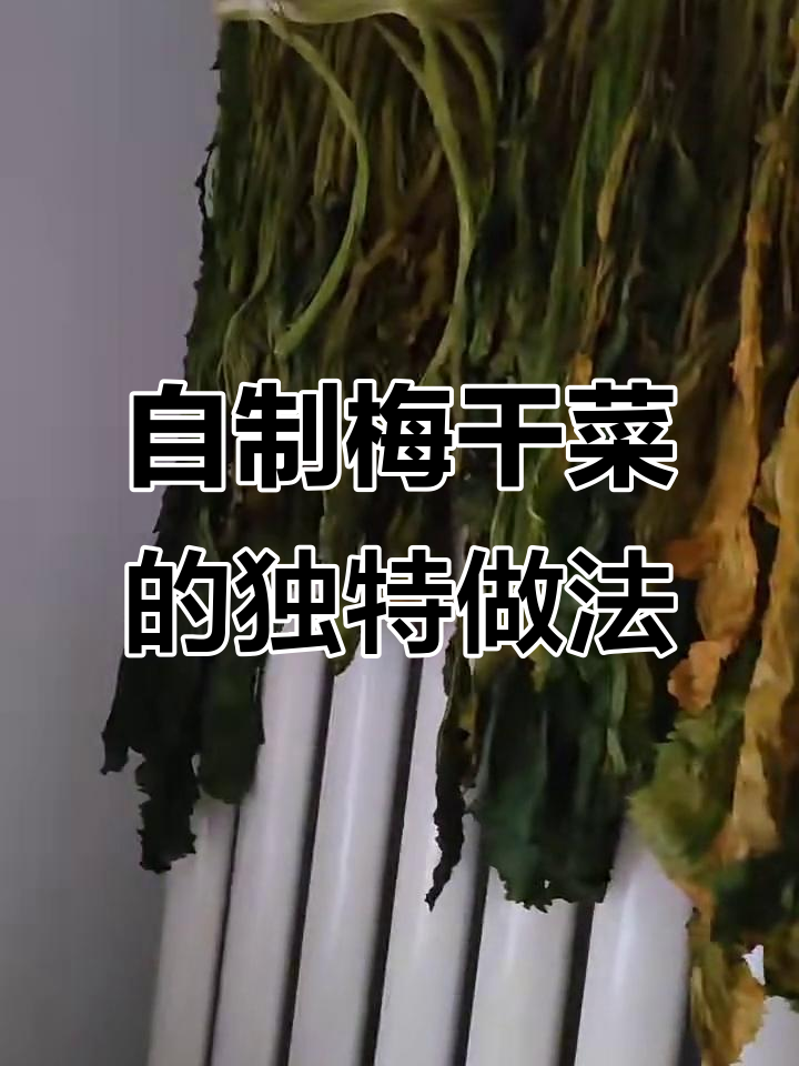 梅干菜制作全流程:从雪里红到脆嫩美味