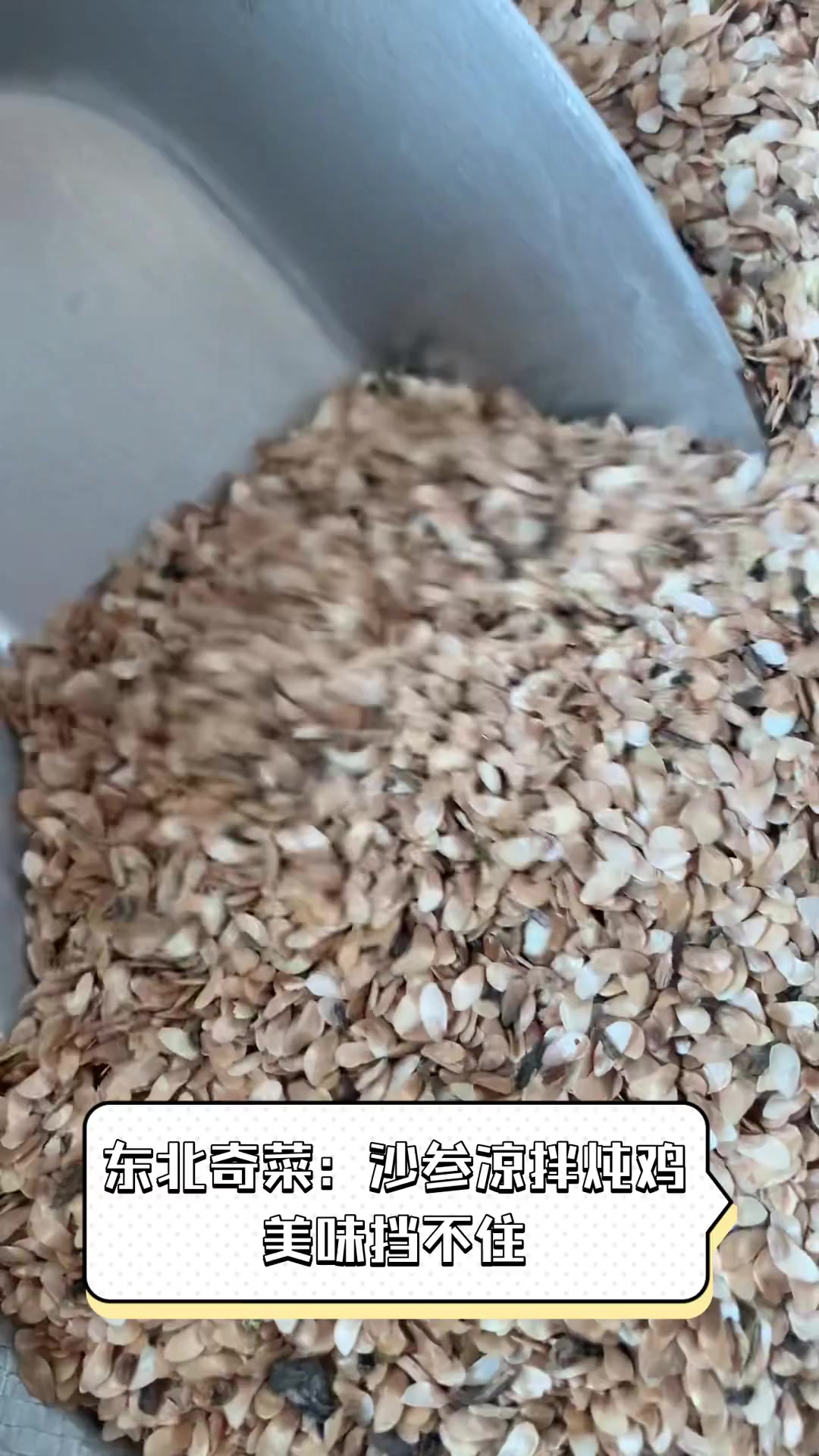 东北奇菜:沙参凉拌炖鸡,美味挡不住