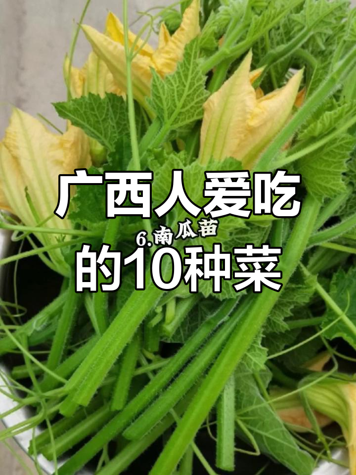 广西十大必吃青菜,看看你吃过几种?