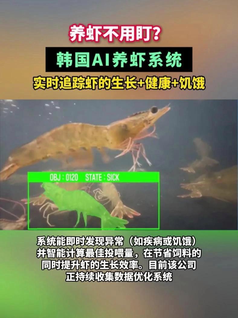 养虾不用盯？韩国AI养虾系统，实时追踪虾的生长+健康+饥饿 对虾 对虾养殖 养虾系统