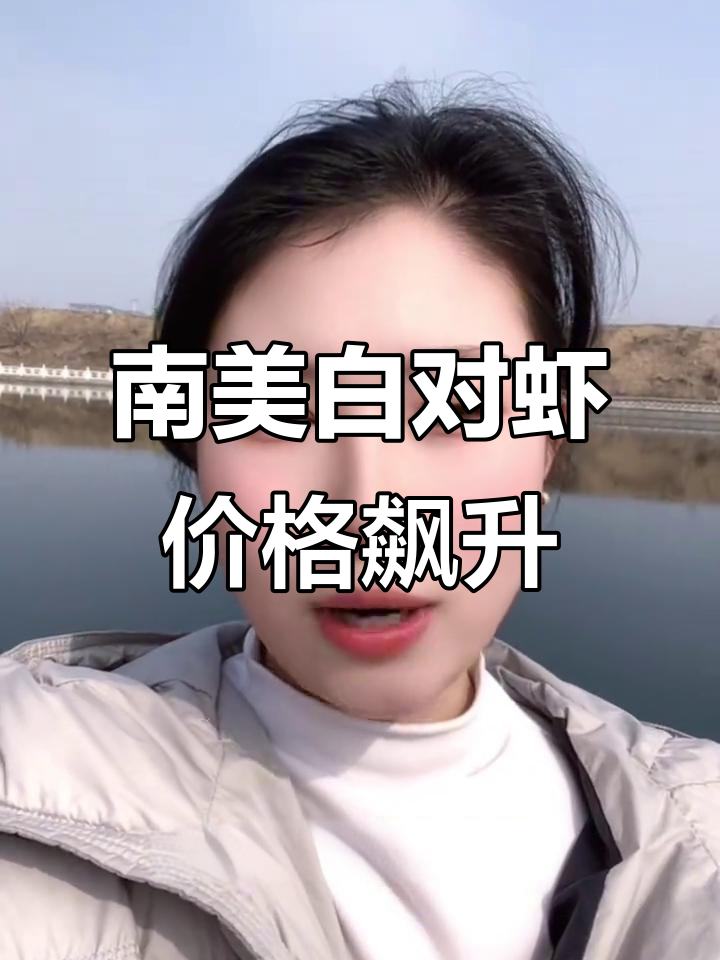 3月虾价暴涨,一夜之间大变!最新虾架已出