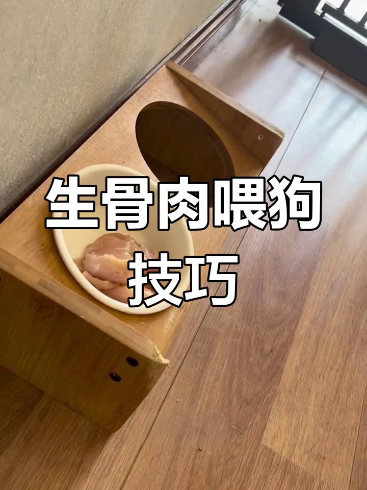 狗狗生骨肉喂养全攻略