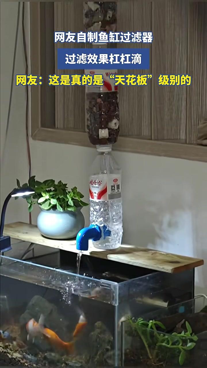 网友自制鱼缸过滤器,过滤效果杠杠滴