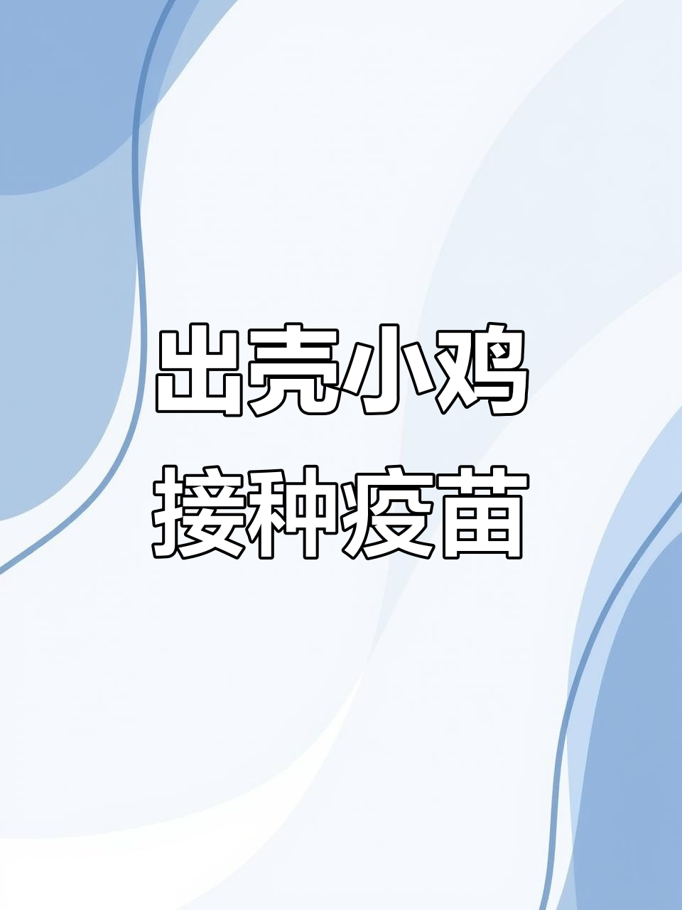 小鸡出壳后24小时内打疫苗,防疫措施全解析
