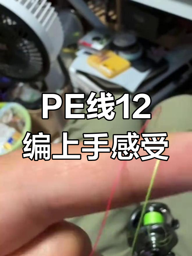 公子PE线12编实战体验,微涨效果显著