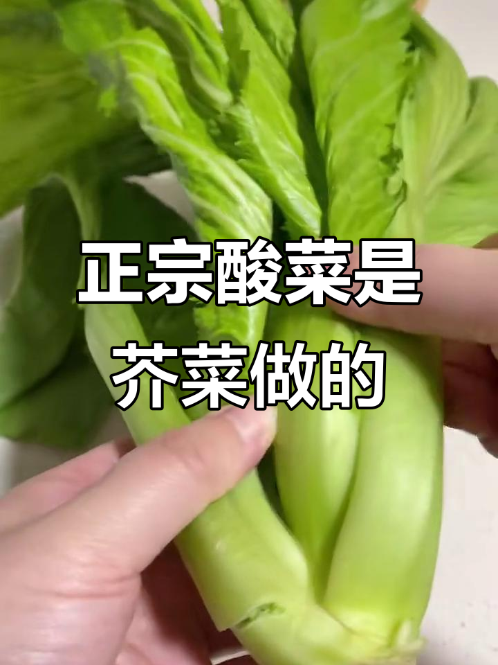 酸菜鱼里的秘密:芥菜才是正宗酸菜的原料