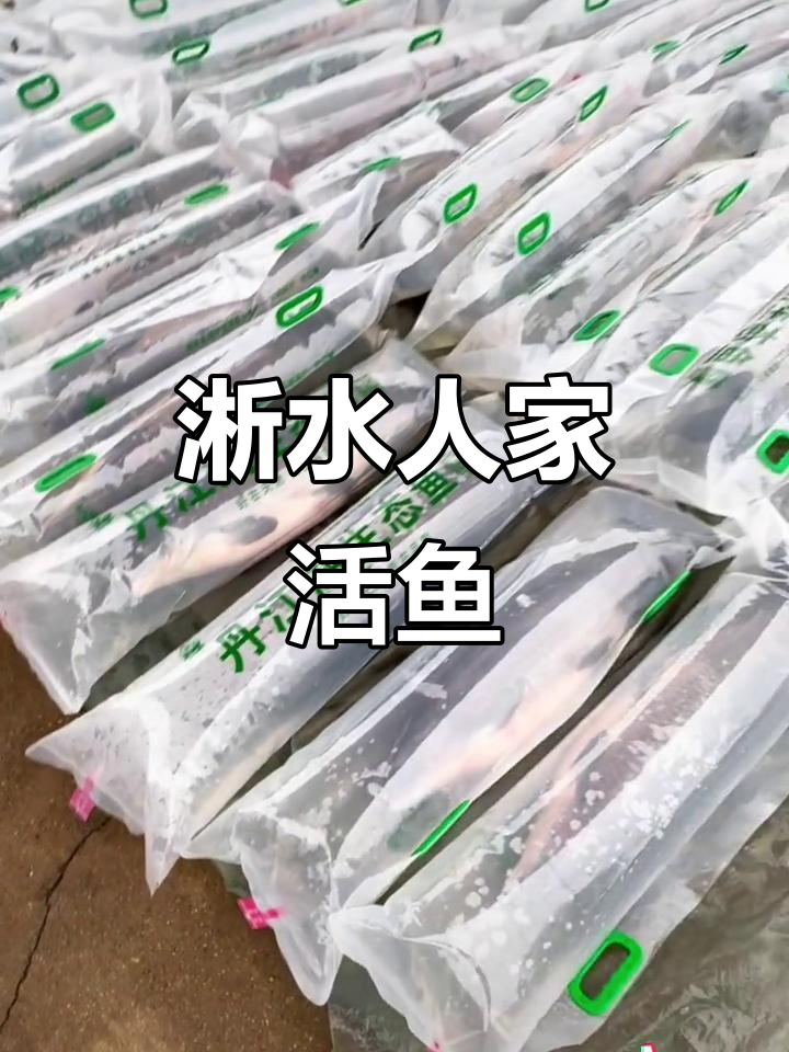 淅水人家清水鱼,鲜美生态好味道