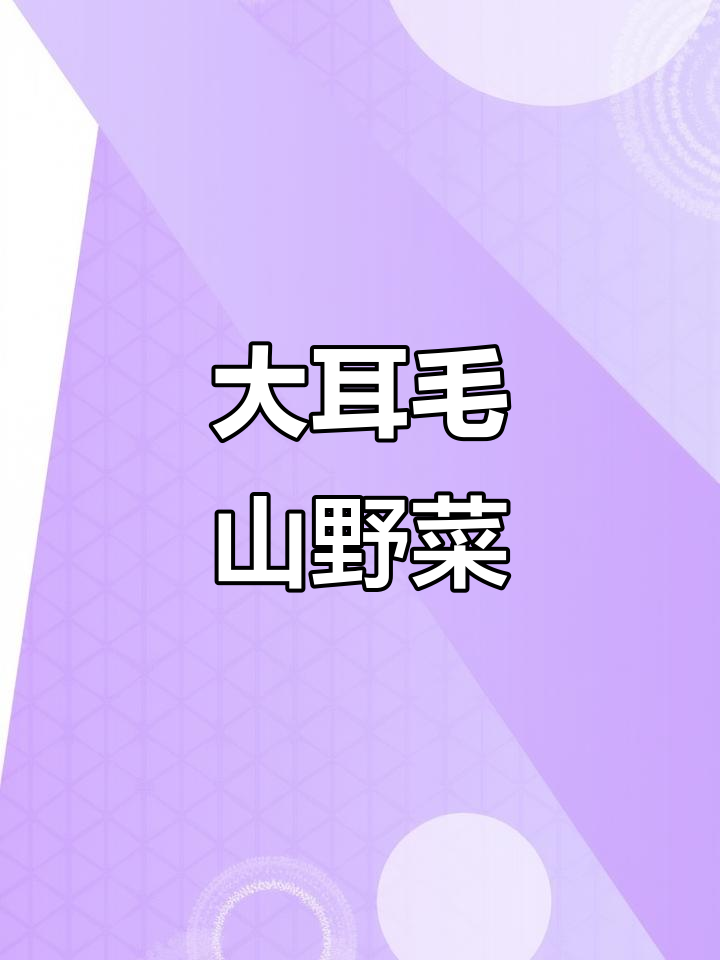 东北大耳毛山野菜,细小绒毛让人爱不释手