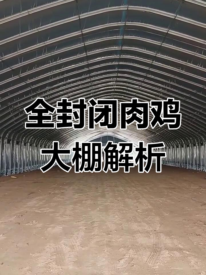 封闭式鸡棚设计揭秘:通风与保暖完美结合