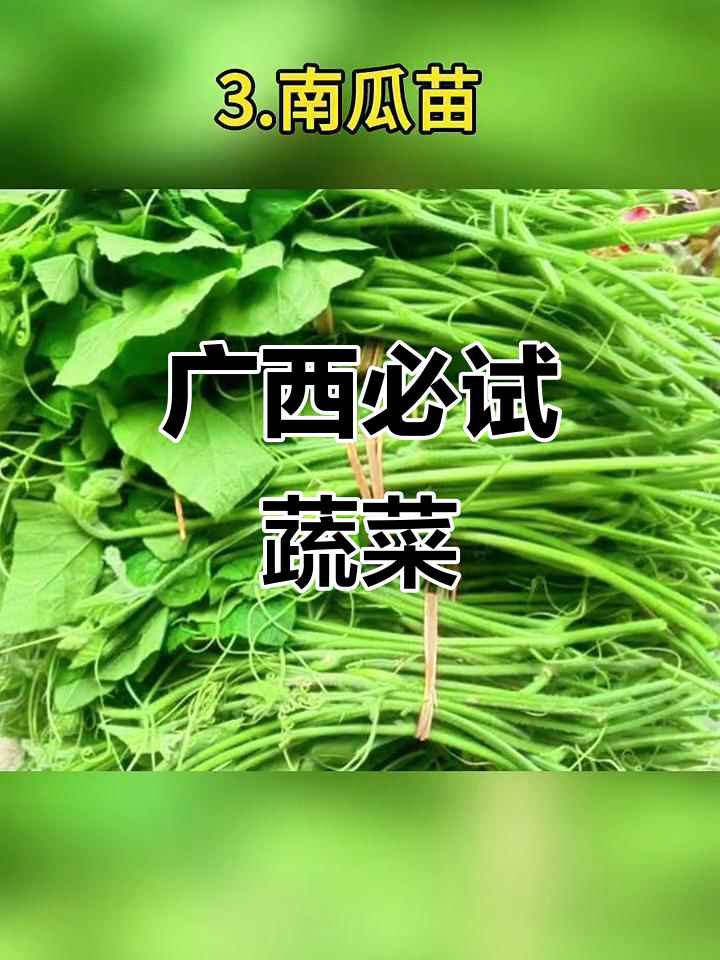 广西必吃青菜，看看你最爱哪一款！