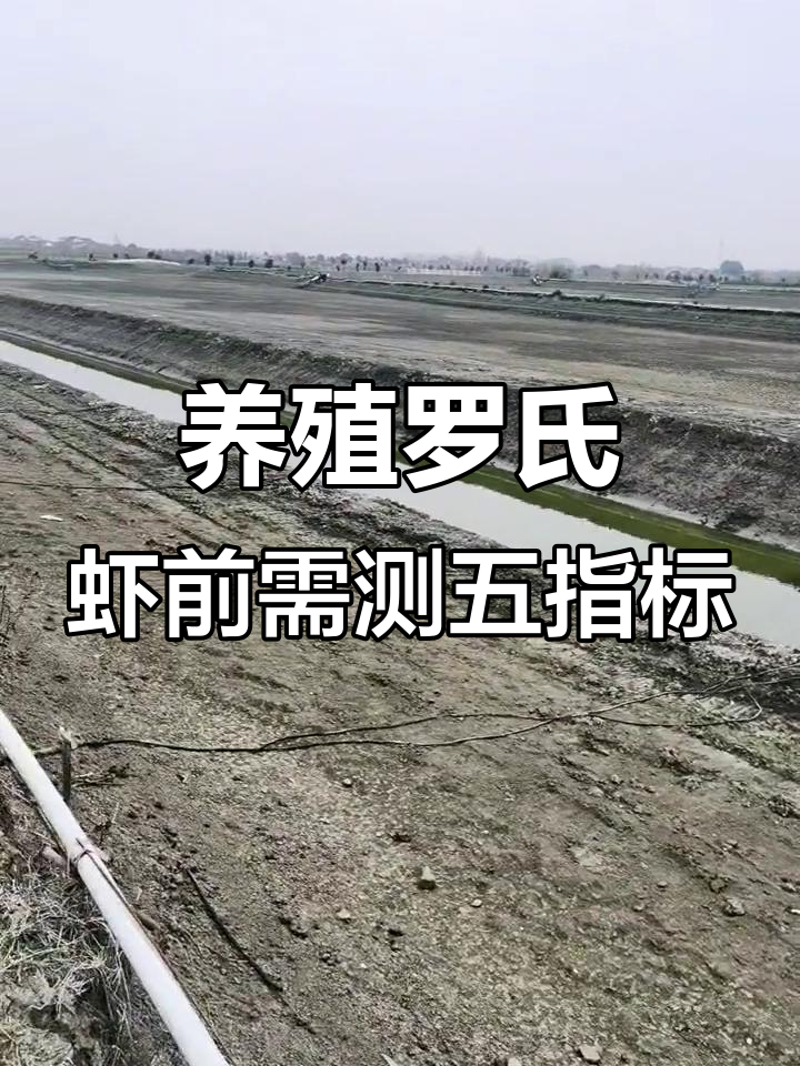 罗氏虾养殖前期必做五项检测,投资风险全掌握