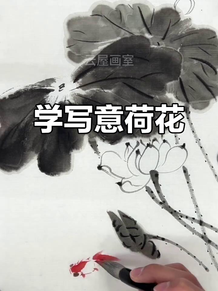 一起学写意荷花金鱼,国画入门教程