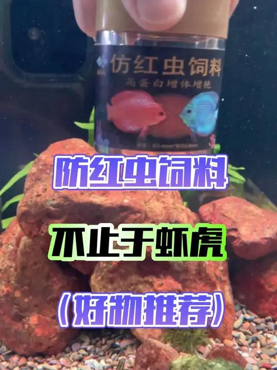 「鱼食推荐」虾虎不吃鱼饲料的可以尝试一下,像红虫,虾虎更爱吃,当然吃它的也不止于虾虎鱼!鱼
