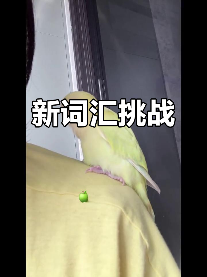 谁说牡丹无声?学会新词“钵钵鸡”,打破常规!