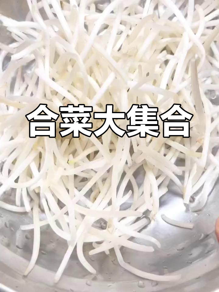 炒合菜,肉丝豆芽木耳全都有