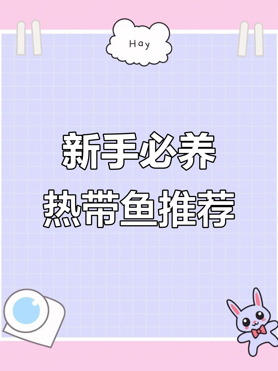 10种最适合新手养的热带鱼,活泼又好照顾