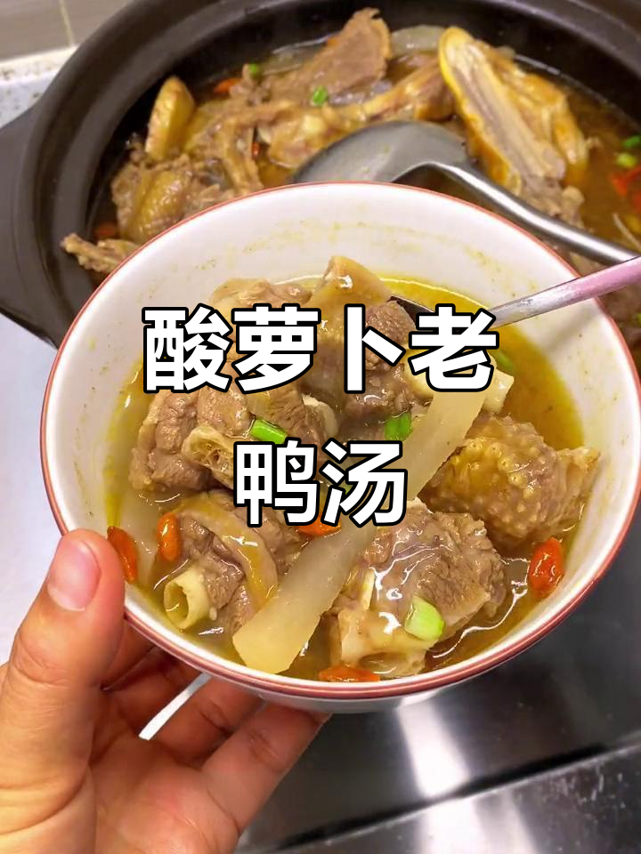 酸萝卜炖大鹅,简单又美味,懒人必备汤品