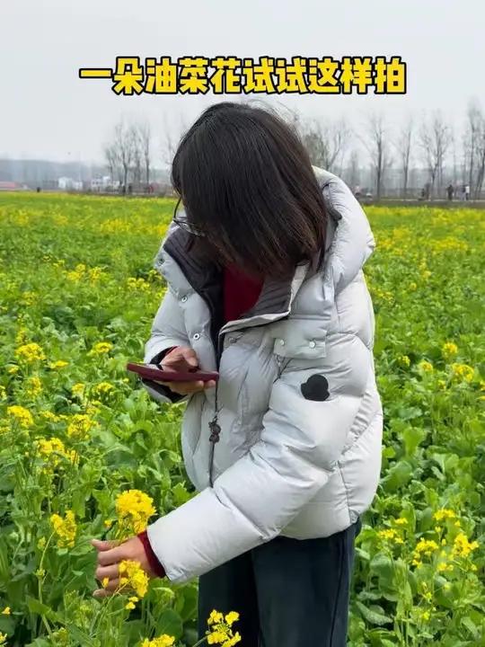 给一朵油菜花拍好玩的视频 #拍摄剪辑技巧 #创作者中心 #创作灵感 #油菜花 #手机拍摄
