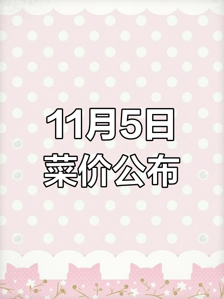 新时代生活超市宝龙店11月5日菜价表