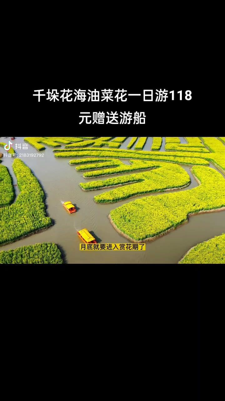 千垛菜花风景区「兴化千垛一日游开通了」快来抖音报名预约 烟花三月下扬州 宣传家乡旅游文化 