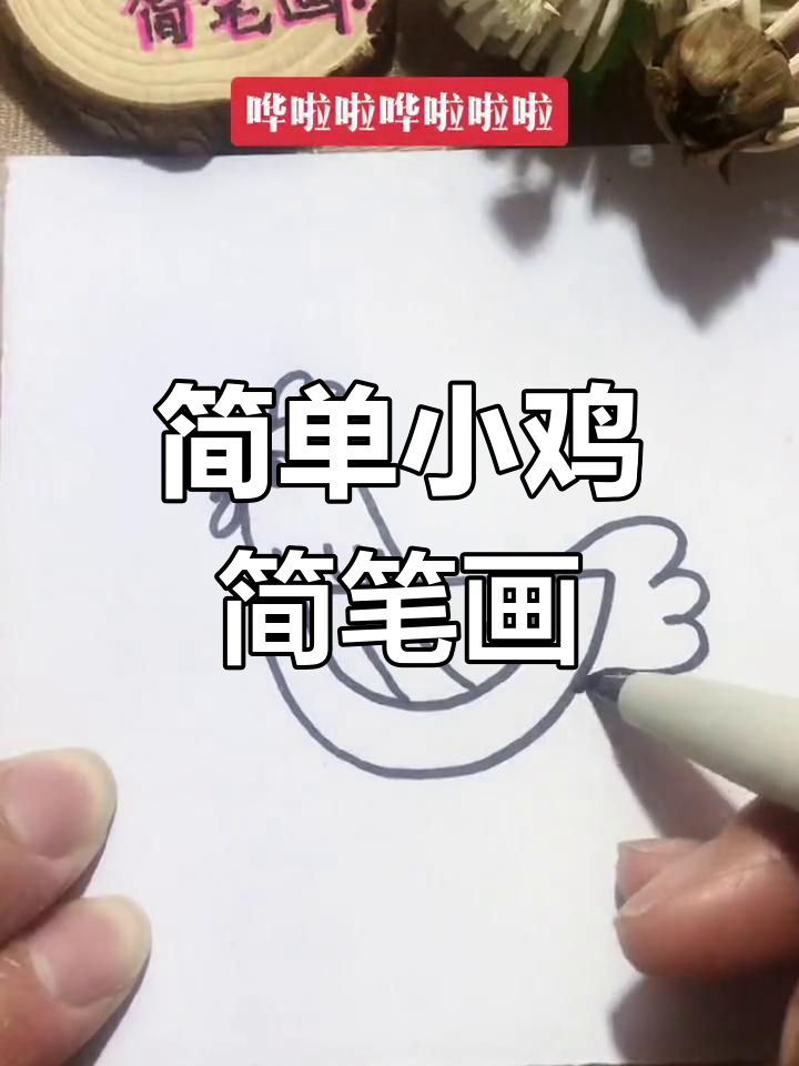 小鸡宝贝轻松画,萌态十足超可爱
