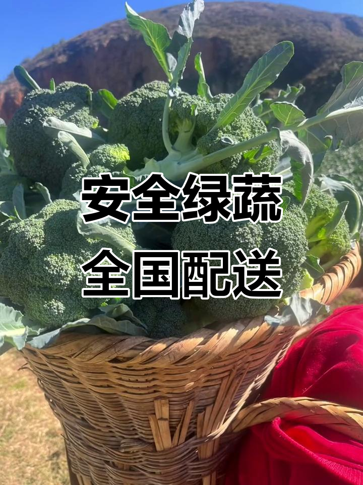 全国发货!绿色蔬菜散装袋,泡沫箱包装更安全
