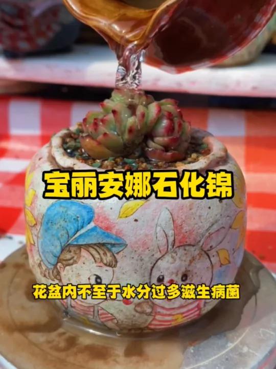 宝丽安娜石化锦