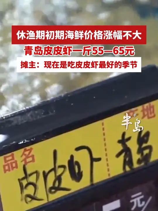 休渔期初期海鲜价格涨幅不大,今日青岛皮皮虾一斤55-65元,摊主表示:皮皮虾膏肥肉鲜,现在