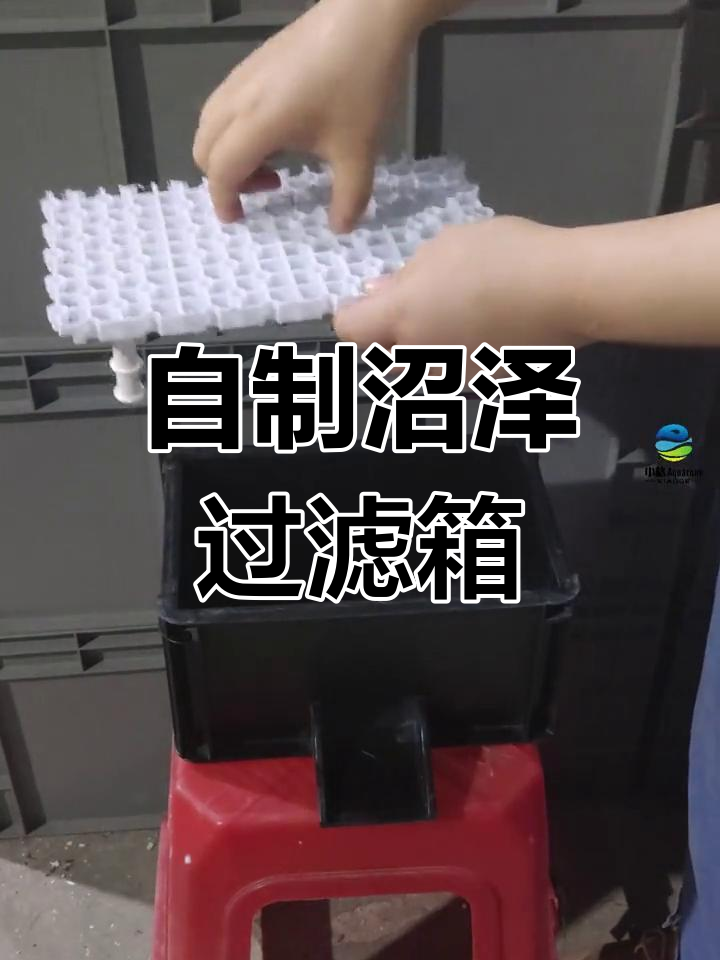 沼泽瀑布过滤箱DIY制作,三层设计提升净水效果