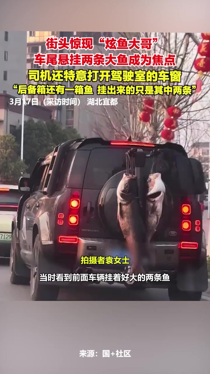街头惊现“炫鱼大哥”,车尾悬挂两条大鱼成为焦点