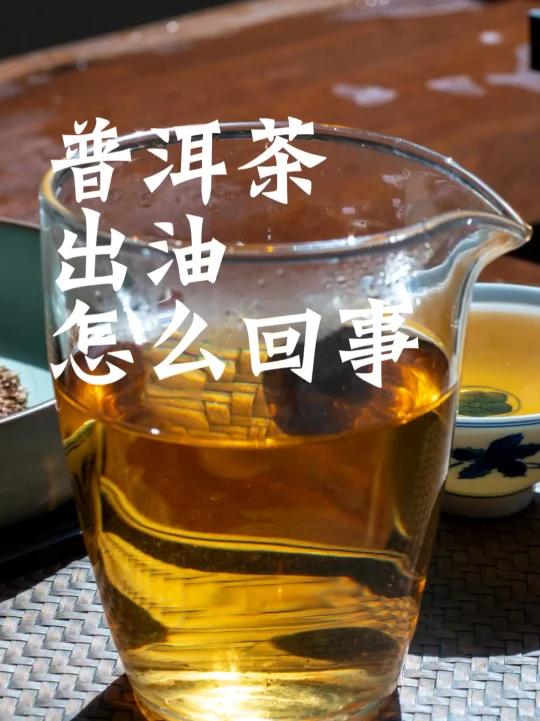 普洱茶出油是怎么回事