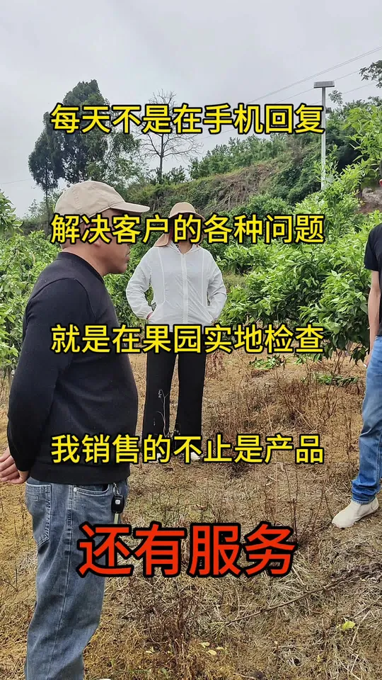 农资人每天给自己打鸡血，再累不敢休息关机怕错过