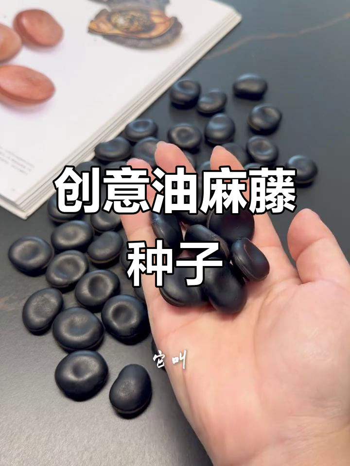 油麻藤种子,圆润可爱,DIY手工必备,解压又美观