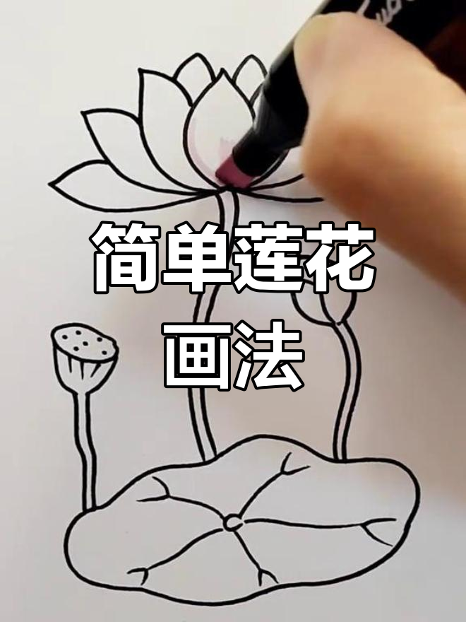 莲花简笔画教程,轻松画出美丽荷花