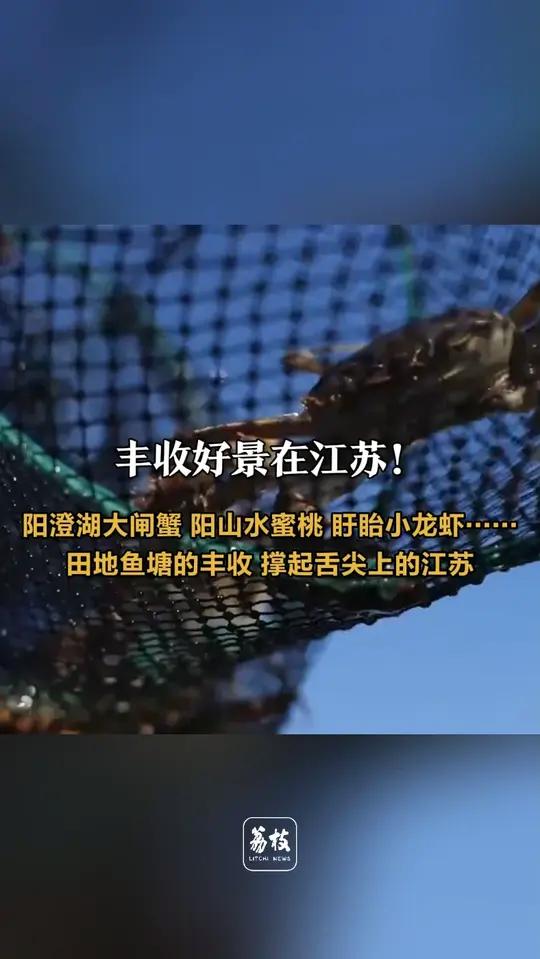 丰收好景在江苏!阳澄湖大闸蟹、阳山水蜜桃、盱眙小龙虾……田地鱼塘的丰收,撑起舌尖上的江苏
